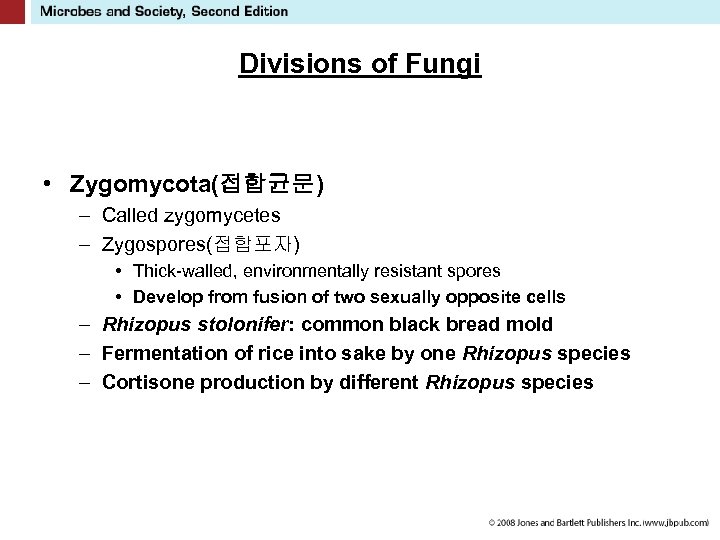 Divisions of Fungi • Zygomycota(접합균문) – Called zygomycetes – Zygospores(접합포자) • Thick-walled, environmentally resistant