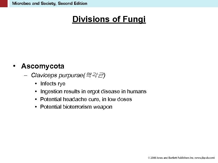 Divisions of Fungi • Ascomycota – Claviceps purpurae(맥각균) • • Infects rye Ingestion results