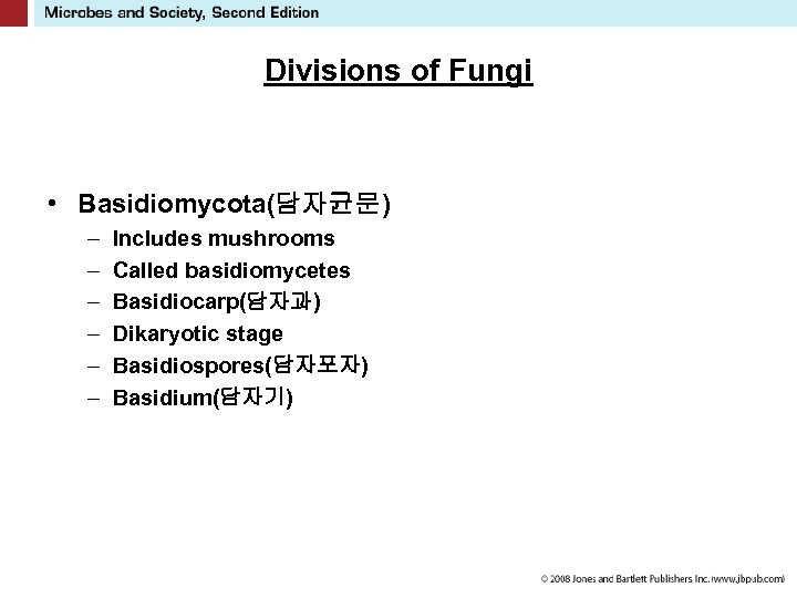 Divisions of Fungi • Basidiomycota(담자균문) – – – Includes mushrooms Called basidiomycetes Basidiocarp(담자과) Dikaryotic