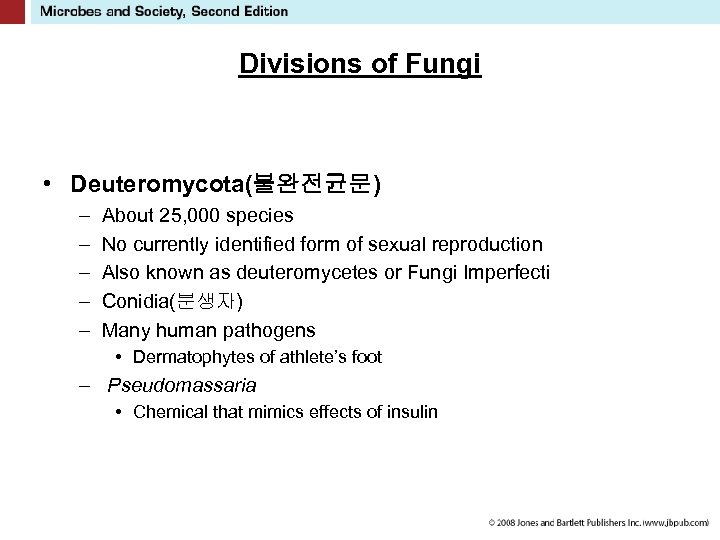 Divisions of Fungi • Deuteromycota(불완전균문) – – – About 25, 000 species No currently