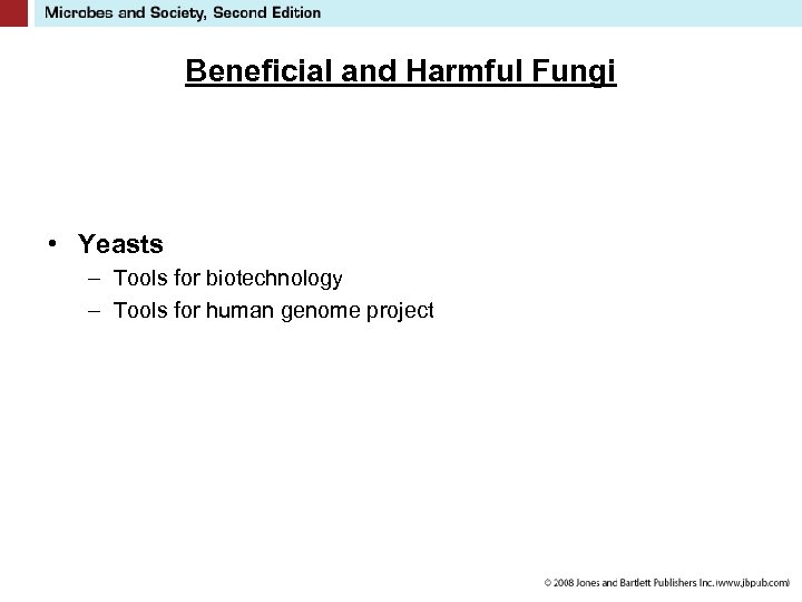 Beneficial and Harmful Fungi • Yeasts – Tools for biotechnology – Tools for human