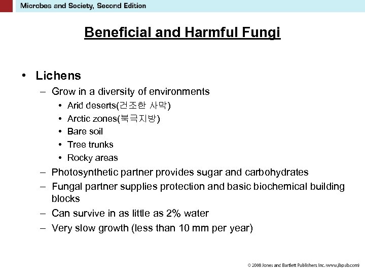 Beneficial and Harmful Fungi • Lichens – Grow in a diversity of environments •