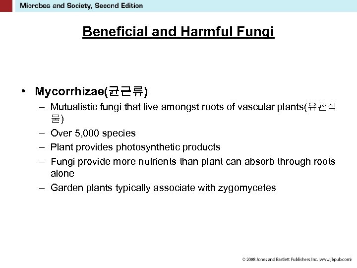 Beneficial and Harmful Fungi • Mycorrhizae(균근류) – Mutualistic fungi that live amongst roots of