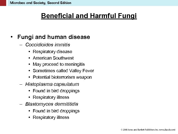 Beneficial and Harmful Fungi • Fungi and human disease – Coccidioides immitis • •