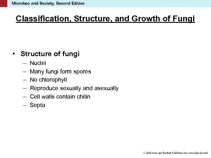 Classification, Structure, and Growth of Fungi • Structure of fungi – – – Nuclei