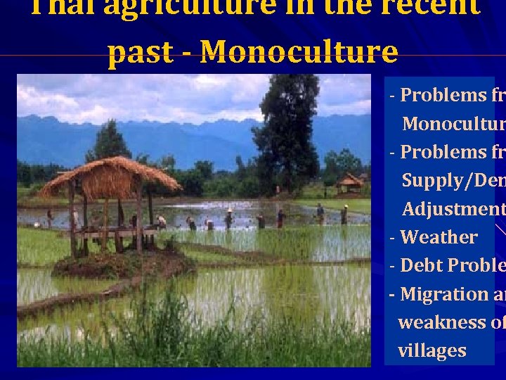 Thai agriculture in the recent past - Monoculture - Problems fr Monocultur - Problems