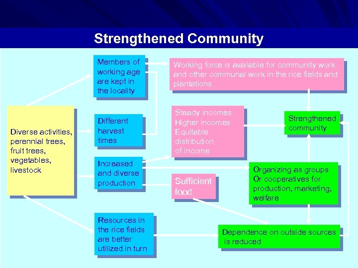 Strengthened Community Members of working age are kept in the locality Diverse activities, perennial