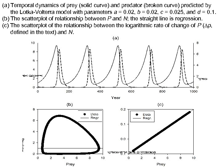 (a) Temporal dynamics of prey (solid curve) and predator (broken curve) predicted by the