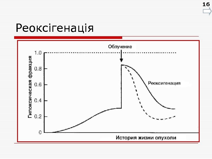 16 Реоксігенація 