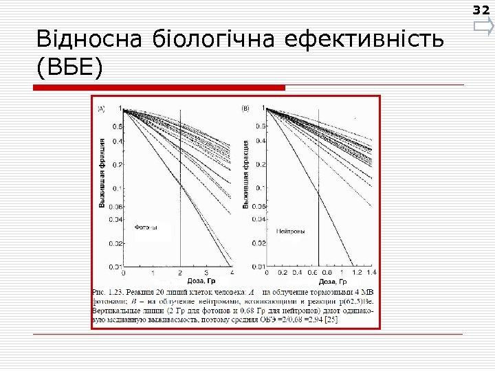 32 Відносна біологічна ефективність (ВБЕ) 