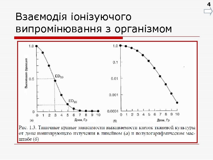 4 Взаємодія іонізуючого випромінювання з організмом 