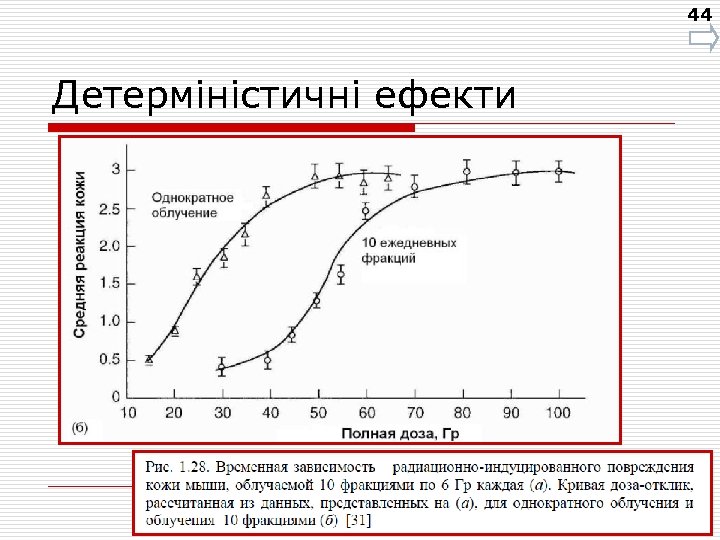 44 Детерміністичні ефекти 
