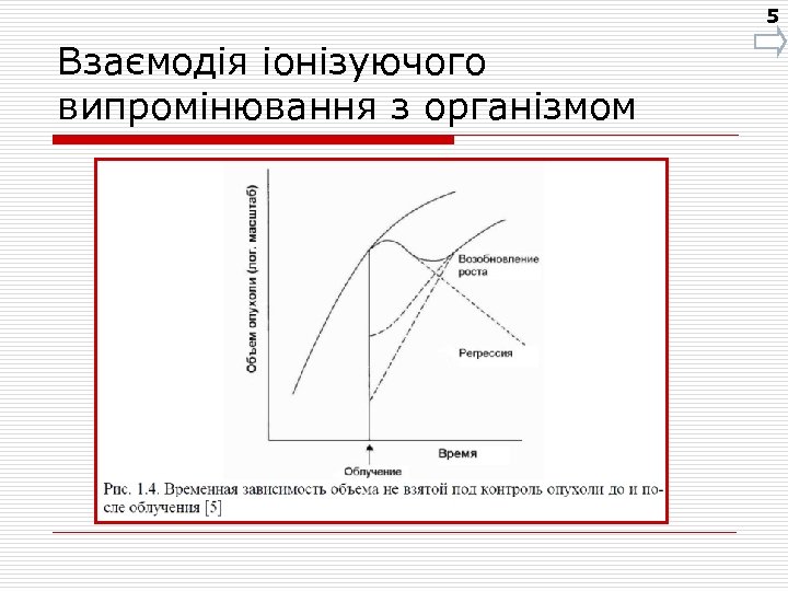 5 Взаємодія іонізуючого випромінювання з організмом 