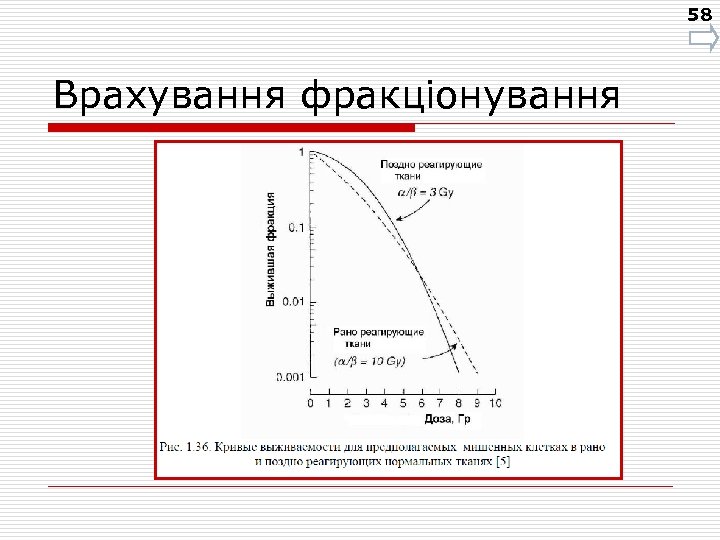 58 Врахування фракціонування 