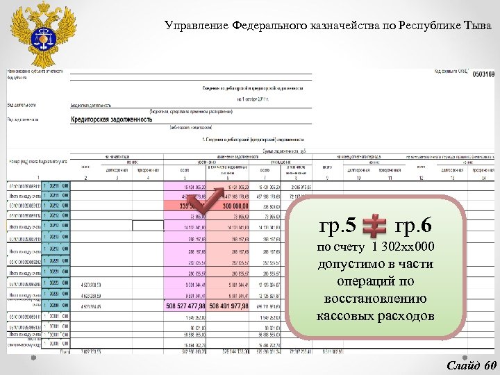 Управление Федерального казначейства по Республике Тыва гр. 5 гр. 6 по счету 1 302