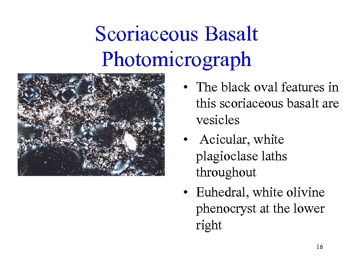 Scoriaceous Basalt Photomicrograph • The black oval features in this scoriaceous basalt are vesicles