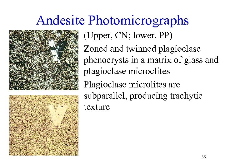 Andesite Photomicrographs • (Upper, CN; lower. PP) • Zoned and twinned plagioclase phenocrysts in