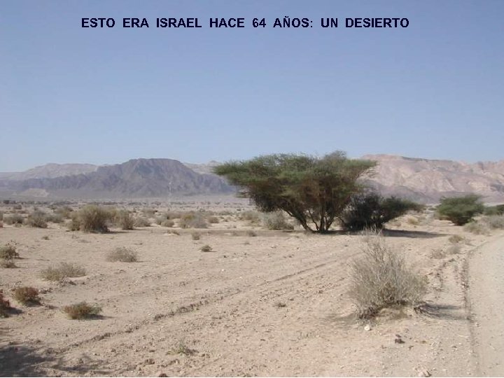 ESTO ERA ISRAEL HACE 64 AÑOS: UN DESIERTO 