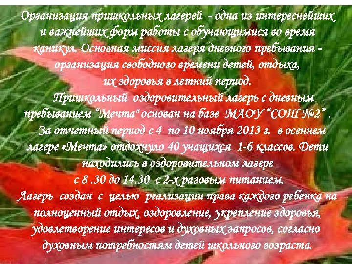 Организация пришкольных лагерей - одна из интереснейших и важнейших форм работы с обучающимися во