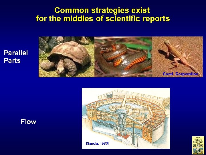 Common strategies exist for the middles of scientific reports Parallel Parts Corel Corporation Flow