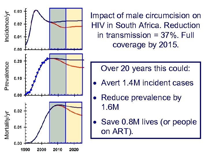 Incidence/yr Prevalence Over 20 years this could: Mortality/yr Impact of male circumcision on HIV