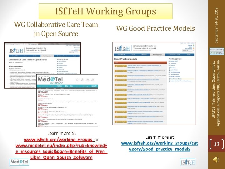 WG Good Practice Models SFM'13: Telemedicine, Opportunities, Applications, Prospects VIII, Saratov, Russia WG Collaborative