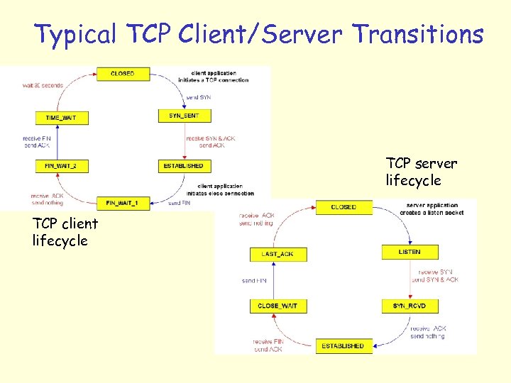Typical TCP Client/Server Transitions TCP server lifecycle TCP client lifecycle 