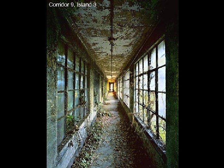 Corridor 9, Island 3 