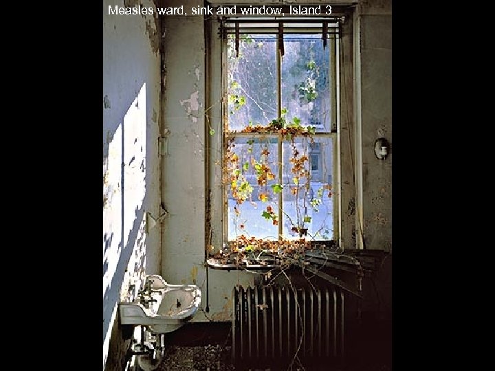 Measles ward, sink and window, Island 3 