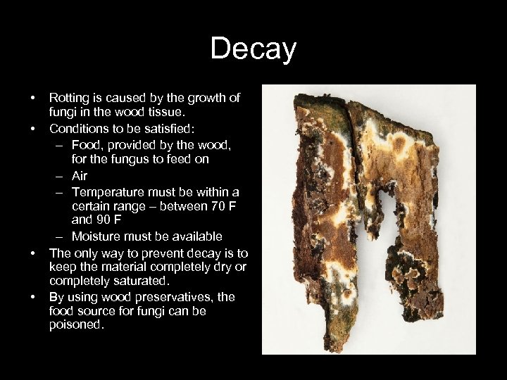 Decay • • Rotting is caused by the growth of fungi in the wood