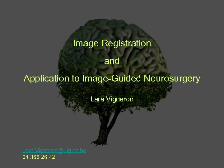 Image Registration and Application to Image-Guided Neurosurgery Lara Vigneron Lara. Vigneron@ulg. ac. be 04