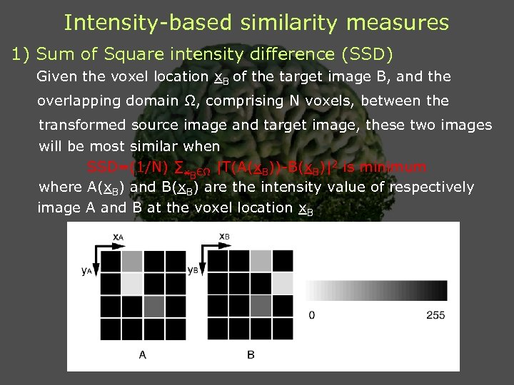 Intensity-based similarity measures 1) Sum of Square intensity difference (SSD) Given the voxel location