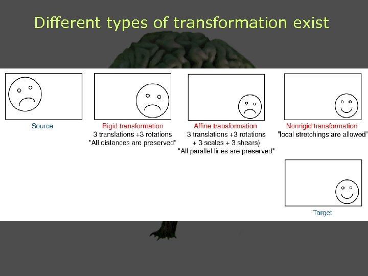 Different types of transformation exist 