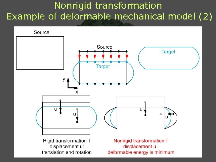 Nonrigid transformation Example of deformable mechanical model (2) 