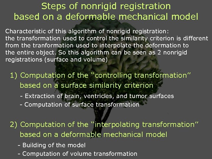 Steps of nonrigid registration based on a deformable mechanical model Characteristic of this algorithm