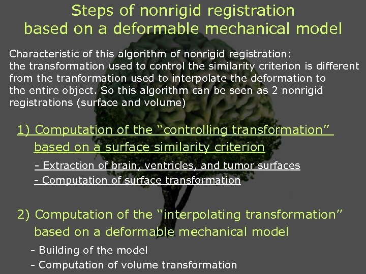 Steps of nonrigid registration based on a deformable mechanical model Characteristic of this algorithm