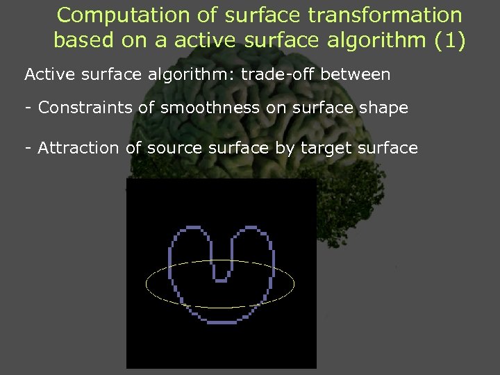 Computation of surface transformation based on a active surface algorithm (1) Active surface algorithm: