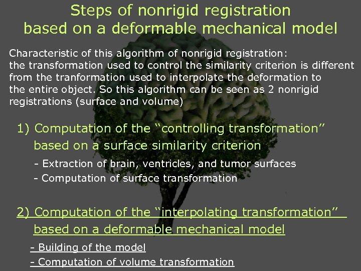 Steps of nonrigid registration based on a deformable mechanical model Characteristic of this algorithm