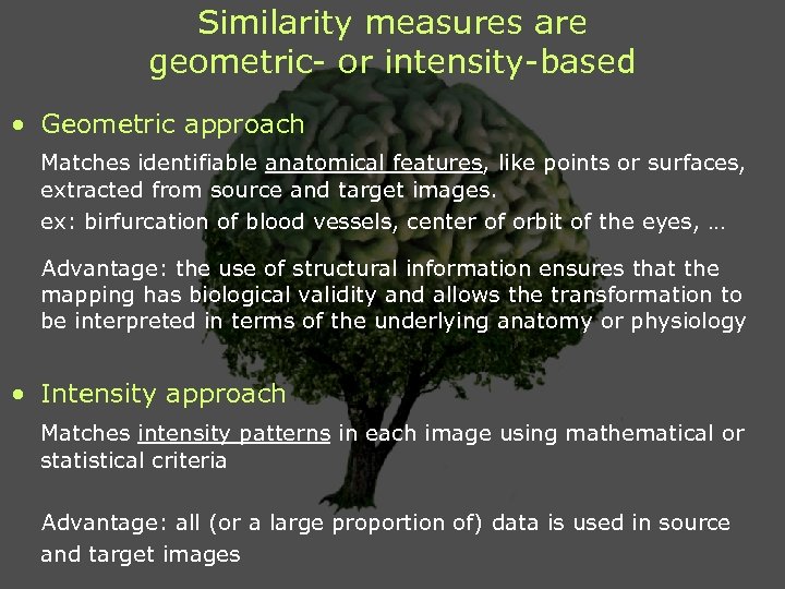 Similarity measures are geometric- or intensity-based • Geometric approach Matches identifiable anatomical features, like
