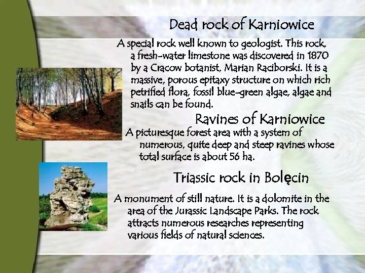 Dead rock of Karniowice A special rock well known to geologist. This rock, a