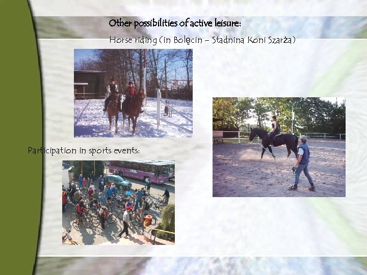 Other possibilities of active leisure: Horse riding (in Bolęcin – Stadnina Koni Szarża) Participation