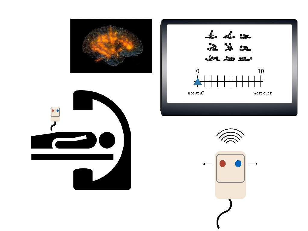 0 not at all 10 most ever 