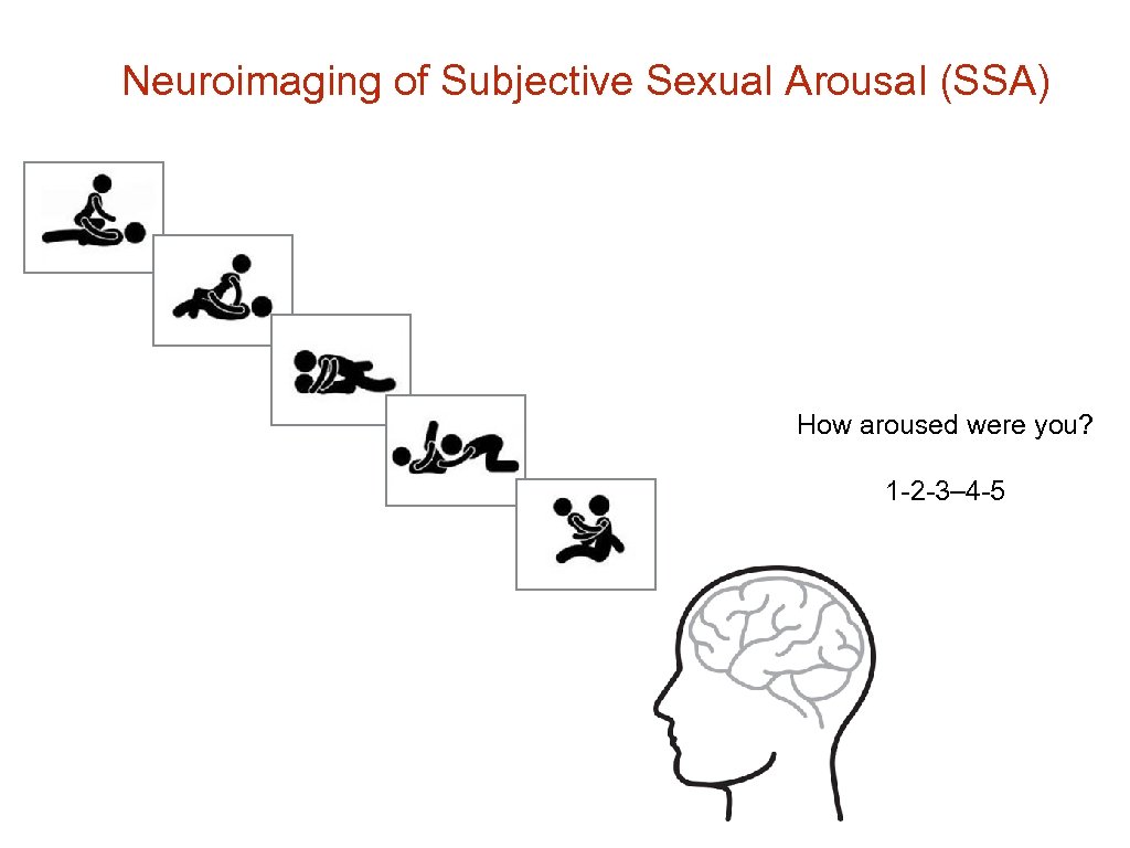 Neuroimaging of Subjective Sexual Arousal (SSA) How aroused were you? 1 -2 -3– 4