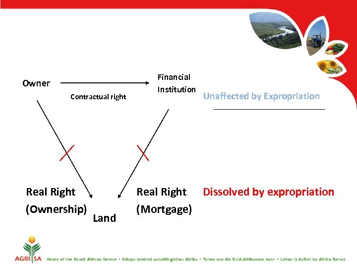 Owner Contractual right Real Right (Ownership) Land Financial Institution Unaffected by Expropriation Real Right