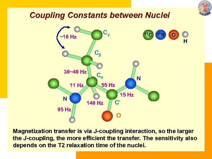 Coupling Constants between Nuclei Cγ ~10 Hz 13 C 15 N O H Cβ