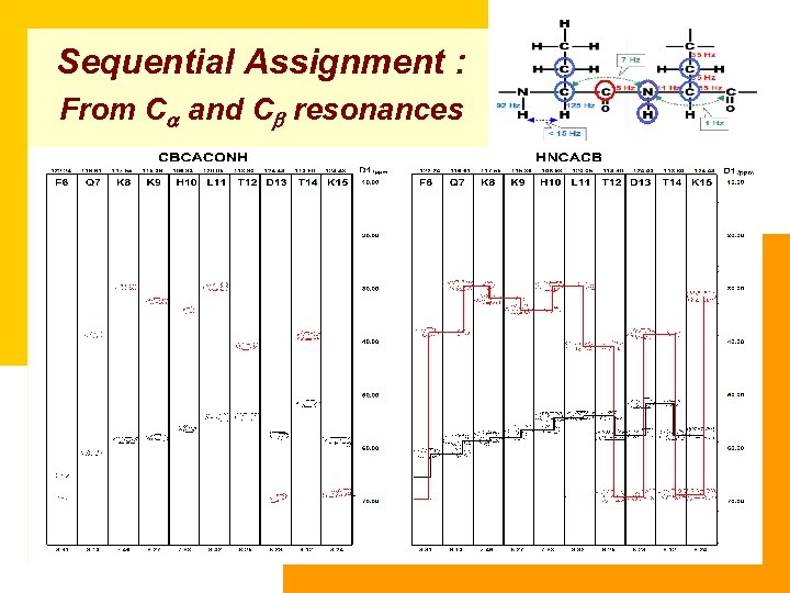 Sequential Assignment : From Ca and Cb resonances 