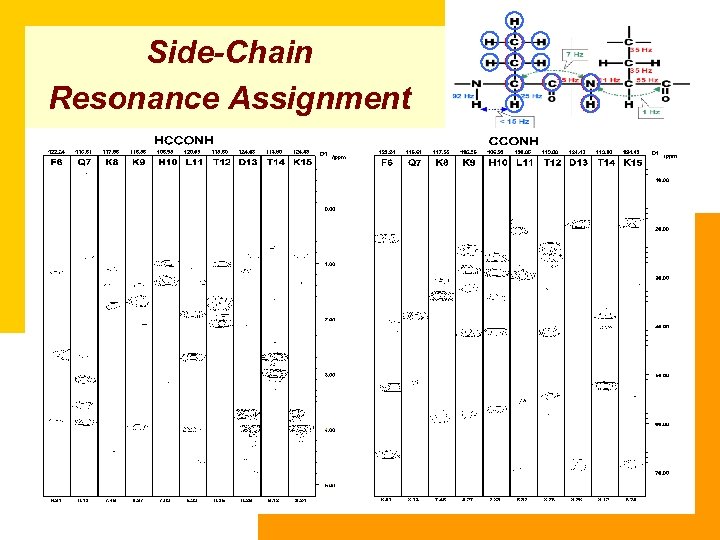 Side-Chain Resonance Assignment 