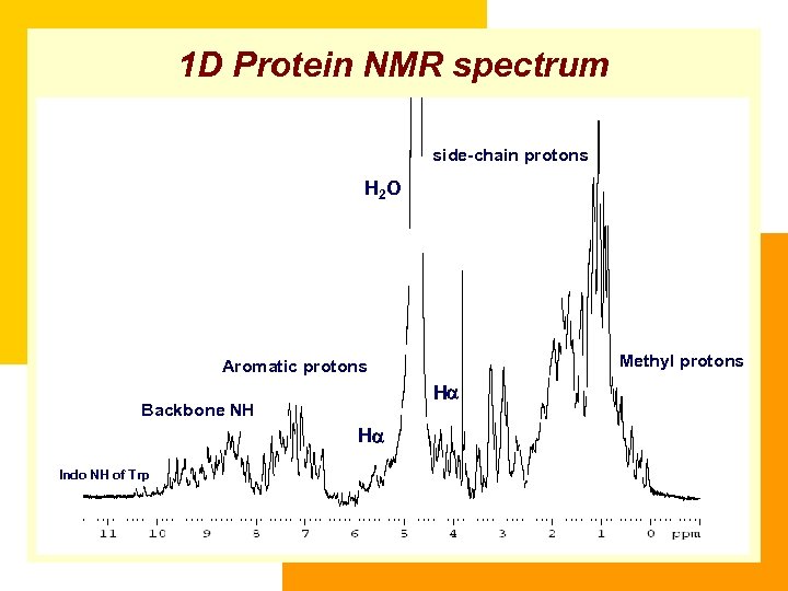 1 D Protein NMR spectrum side-chain protons H 2 O Methyl protons Aromatic protons