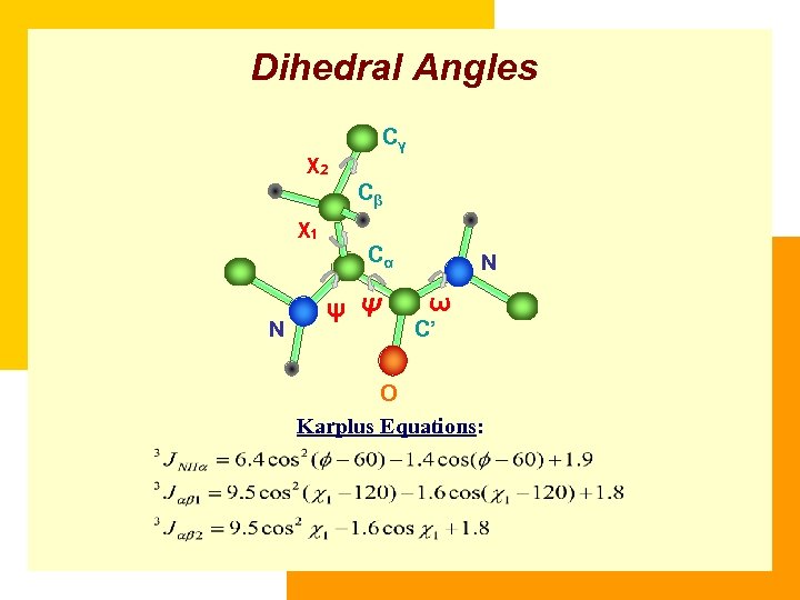 Dihedral Angles Cγ χ2 Cβ χ1 Cα N ψ Ψ N ω C’ O