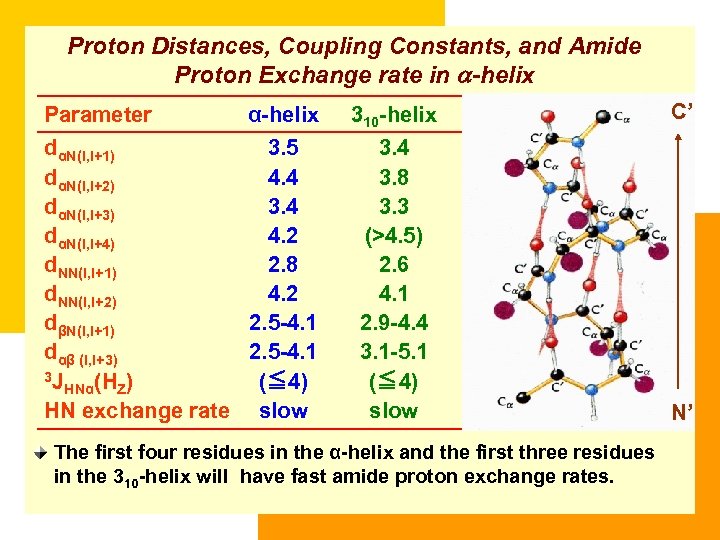 Proton Distances, Coupling Constants, and Amide Proton Exchange rate in a-helix Parameter α-helix dαN(i,